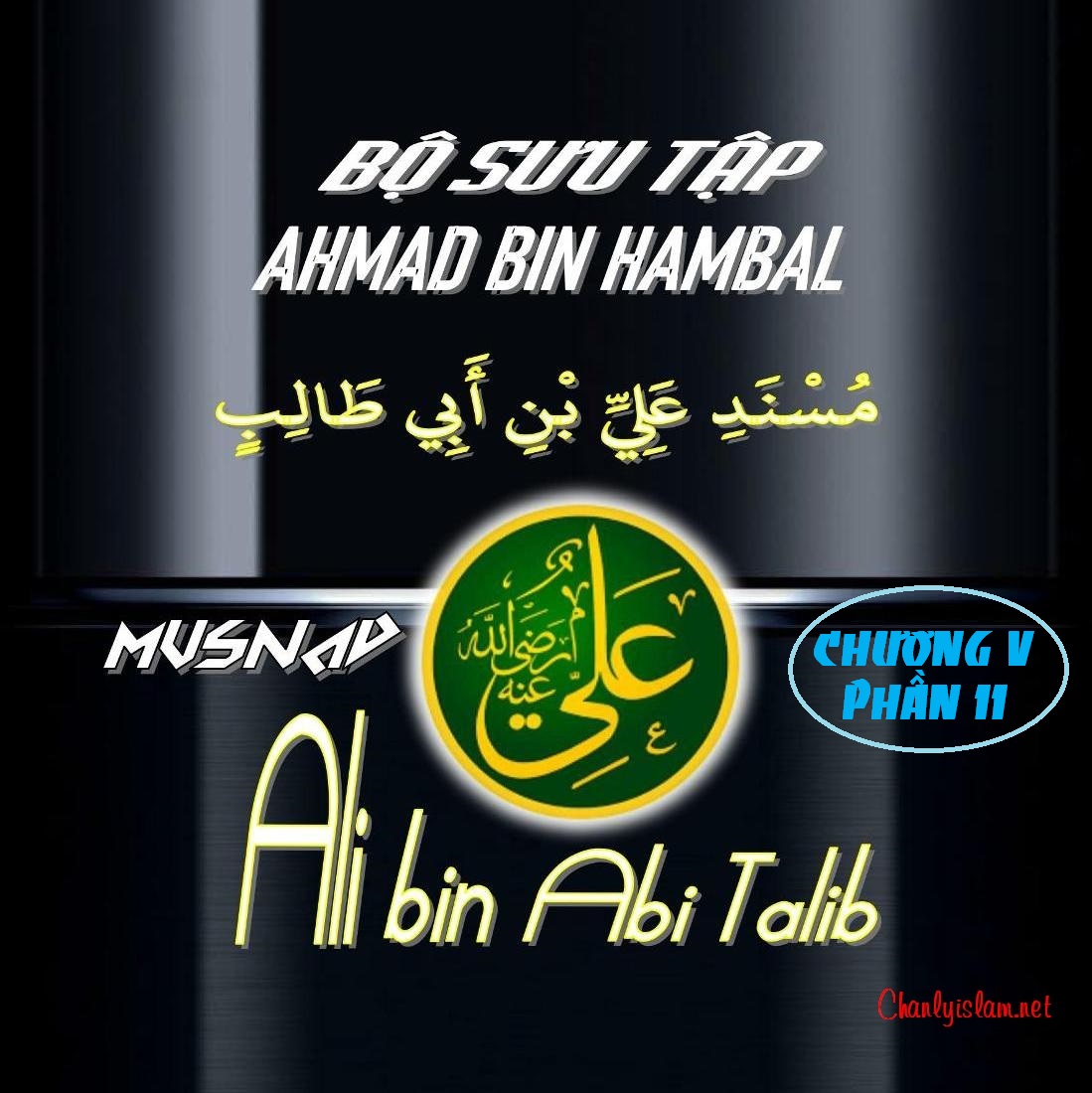 BỘ SƯU TẬP MUSNAD IMAM AHMAD IBN HANBAL - CHƯƠNG V - MUSNAD ALI BIN ABI TALIB - PHẦN 11